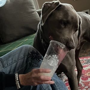 Meet your Posher, Sandra